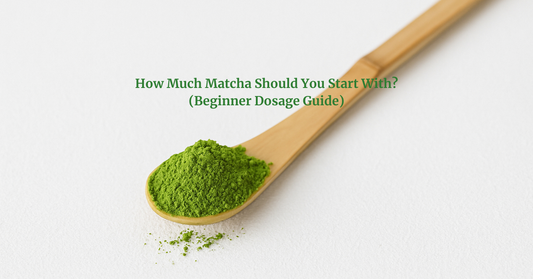 How Much Matcha Should You Start With? (Beginner Dosage Guide)