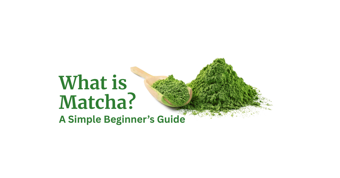 What Is Matcha? A Simple Beginner’s Guide